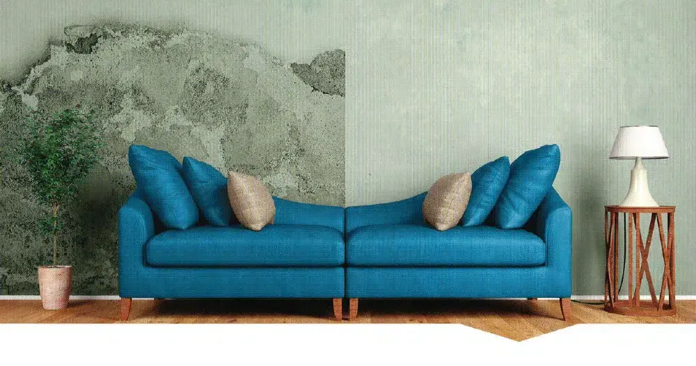 Remontées capillaires : comment l'eau du sol remonte dans les murs